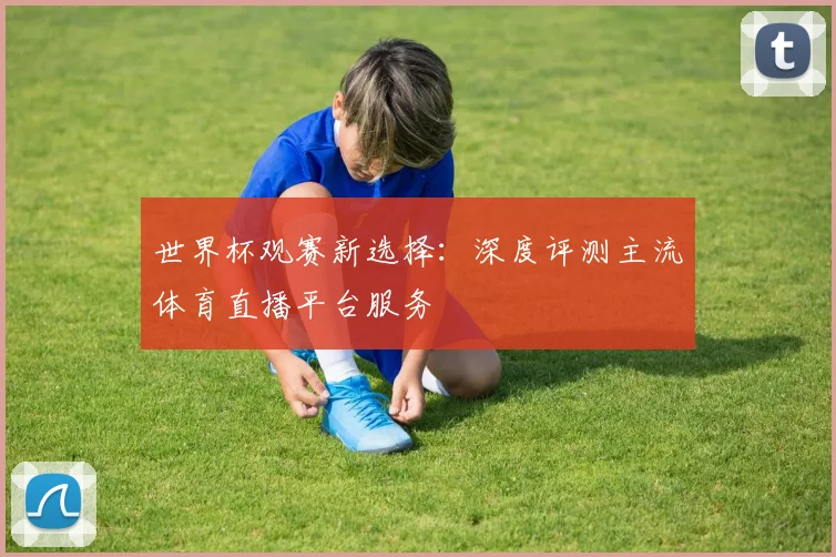 世界杯观赛新选择：深度评测主流体育直播平台服务