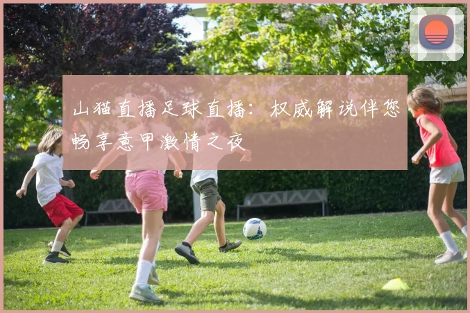 山猫直播足球直播:权威解说伴您畅享意甲激情之夜