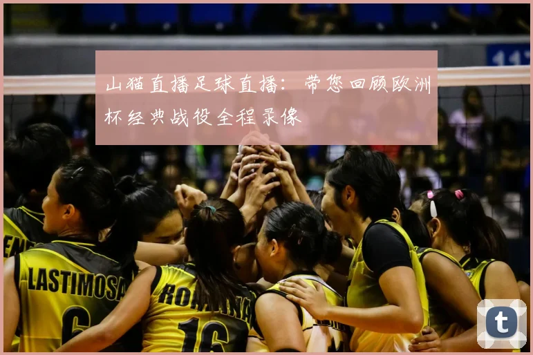 山猫直播足球直播:带您回顾欧洲杯经典战役全程录像