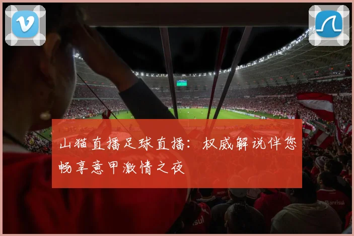山猫直播足球直播:权威解说伴您畅享意甲激情之夜
