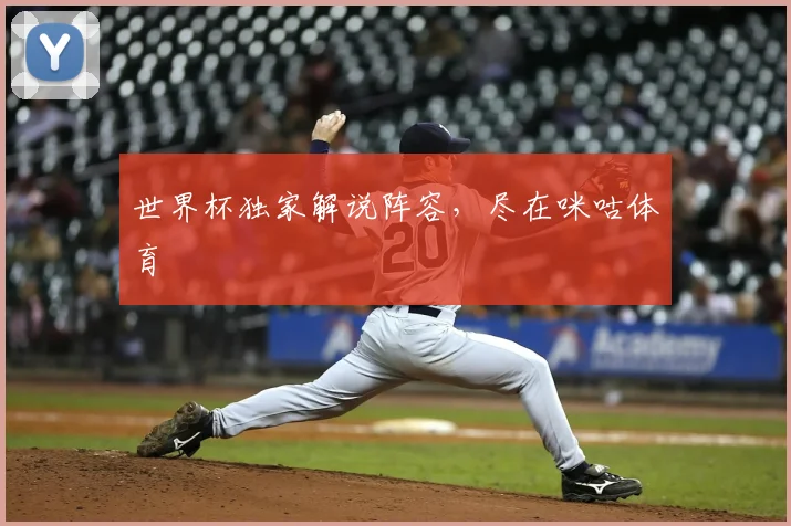世界杯独家解说阵容，尽在咪咕体育