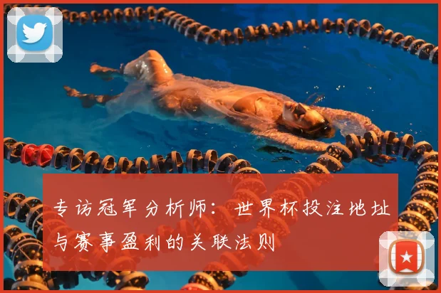 专访冠军分析师:世界杯投注地址与赛事盈利的关联法则