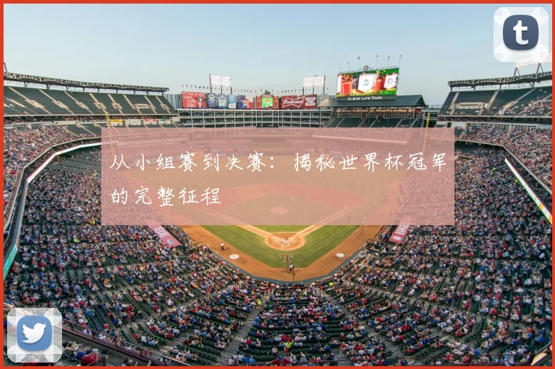 从小组赛到决赛:揭秘世界杯冠军的完整征程