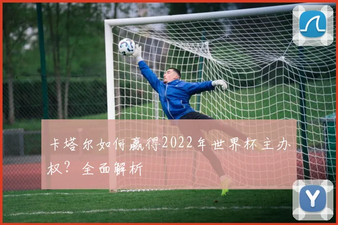 卡塔尔如何赢得2022年世界杯主办权？全面解析